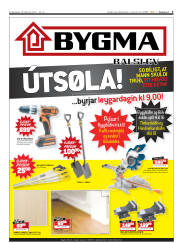 Síða 3