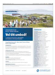 Síða 11