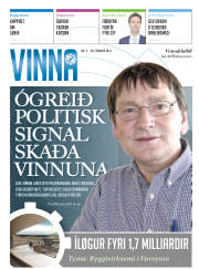 Síða 29
