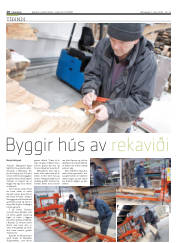 Síða 10