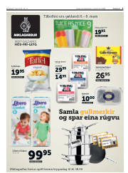 Síða 3