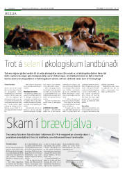 Síða 12