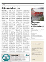 Síða 20