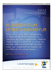 Síða 29