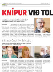 Síða 8