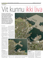 Síða 12