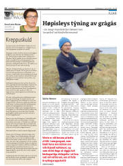 Síða 14