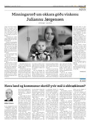 Síða 17