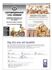 Síða 29