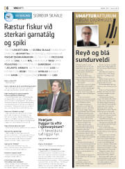 Síða 38