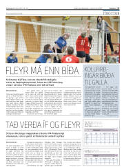 Síða 17