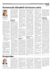 Síða 25