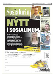Síða 27