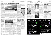 Síða 3