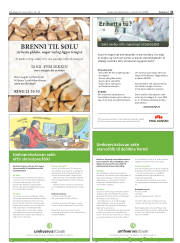 Síða 31