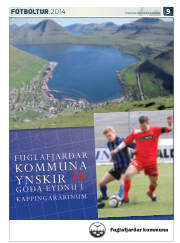 Síða 45