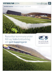 Síða 53