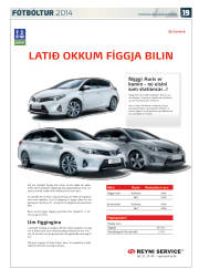 Síða 55