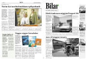 Síða 8