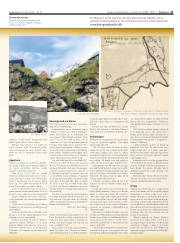 Síða 11