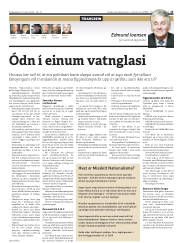 Síða 15