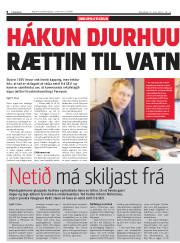 Síða 8