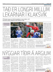 Síða 17