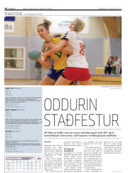 Síða 20