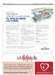 Síða 9