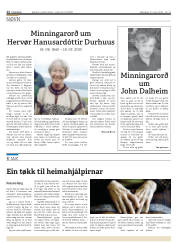 Síða 12