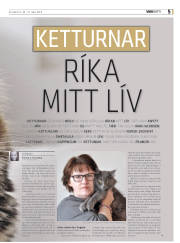 Síða 37
