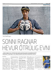 Síða 13