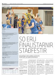 Síða 20