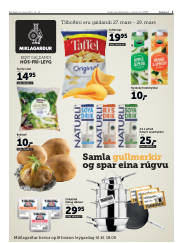 Síða 3