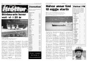 Síða 6