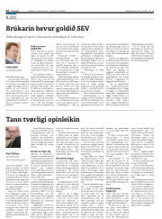 Síða 26