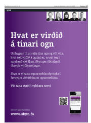 Síða 29