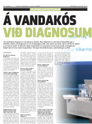 Síða 30