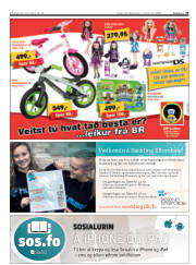 Síða 33