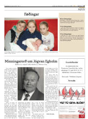 Síða 11