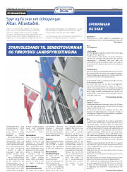 Síða 17