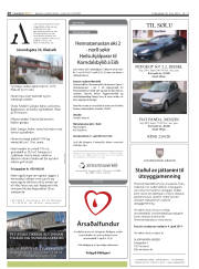 Síða 20