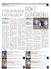 Síða 14