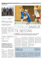 Síða 16