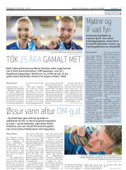 Síða 17
