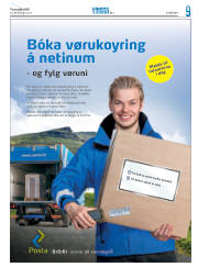 Síða 33