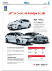 Síða 37
