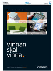 Síða 41