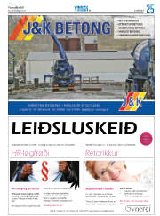Síða 49