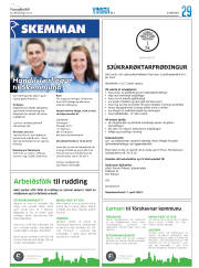 Síða 53